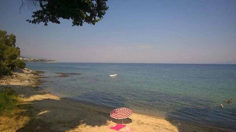 Villa Alexander Beach PalaiónTsiflíkion Екстериор снимка